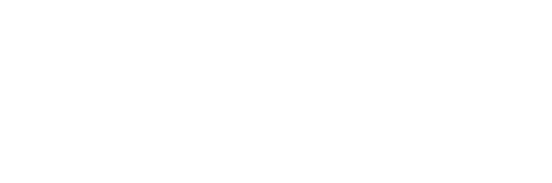 Website erstellen lassen Miltenberg von elsaweb - Webagentur